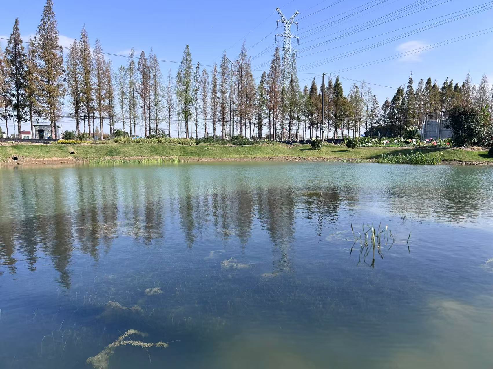 圖片關(guān)鍵詞 圖片關(guān)鍵詞