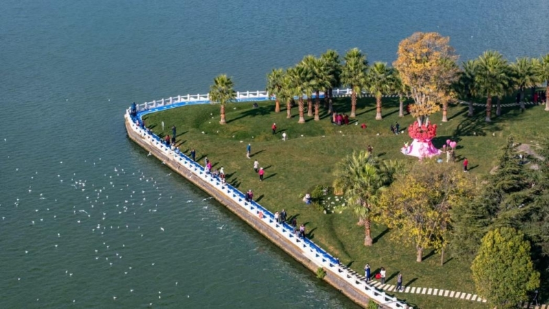 引爆全媒體熱潮！新年慶福保，中機國際助力福保半島鄉(xiāng)村振興建設(shè)