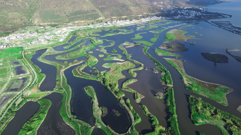 聚焦癥結(jié)因地制宜治理  順應(yīng)自然因勢利導(dǎo)修復(fù) ——高原湖泊生態(tài)緩沖帶保護修復(fù)新示范