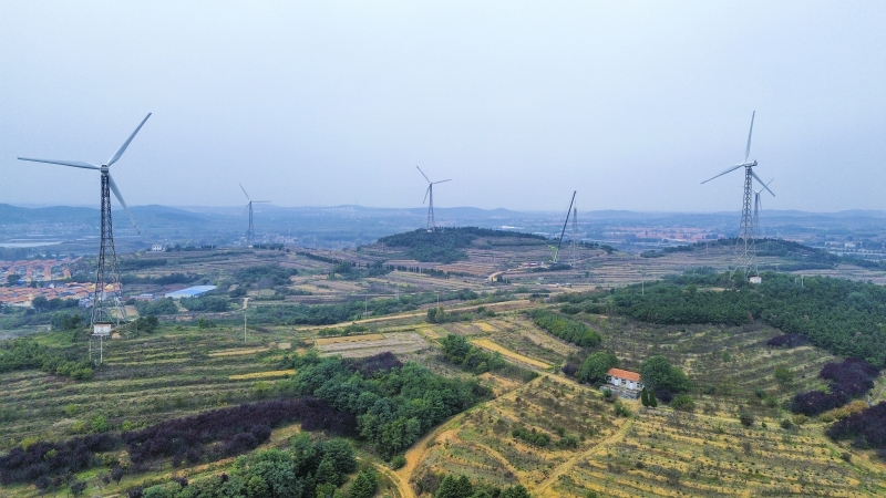 以大代小，青島大橋風(fēng)場(chǎng)改造的“煥新密碼”